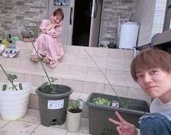  辻希美、夫・杉浦太陽のこだわりがすごい家庭菜園「成長を楽しみにしています」 