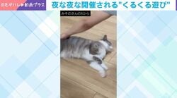 夜な夜な回される!? → されるがままの“シュールな謎遊び”にハマる猫の姿に「これ…ウチのニャンも大好き」「クセになりそう」など反響