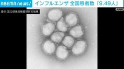 インフルエンザ 全国患者数「9.49人」