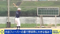 大谷フィーバーの裏で加速する「野球離れ」…怒らず褒めろ？少年少女に厳しい指導どこまで必要？ 業界全体で「稼ぐ力」どう育てる？