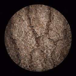 Genta、ソロプロジェクト第4弾となるニューシングル「Bakka tala!」は、BPM130で構築されたトライバルなダンス・トラック。