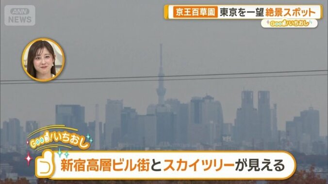 見晴台から見える新宿の高層ビル群や東京スカイツリー