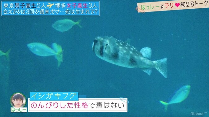 ゆいP、恋愛経験のない男子高生のKY言動にショック「こんなに衝撃的なことはない」 12枚目
