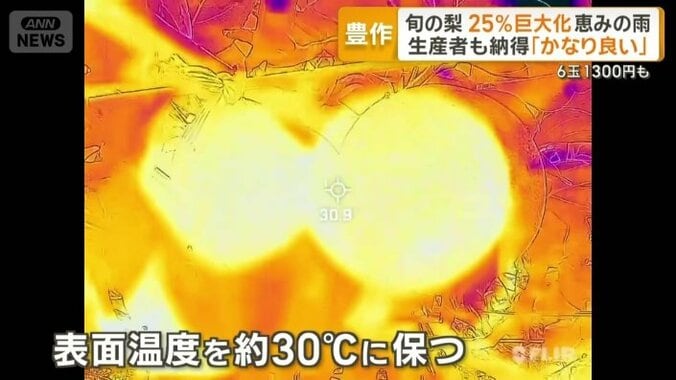 表面温度を約30℃に保つ