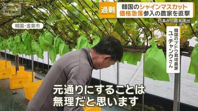 「元通りにすることは無理」