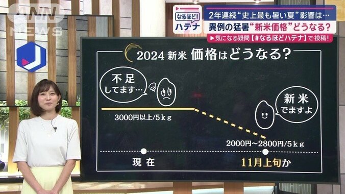 2024年の新米価格は？