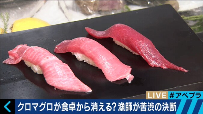 クロマグロが世界的に減少　長崎の漁師が「自主禁漁」 1枚目