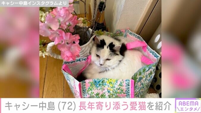 【写真・画像】キャシー中島(72) 長女・七奈美さんの死後 慰めるために北海道から来た長年寄り添う“家族”　2枚目