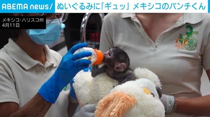 メキシコ・ハリスコ州