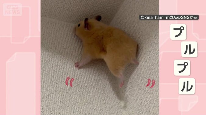プルプルしながらこらえる