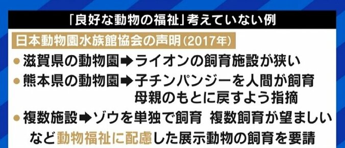 動物園で飼われるのは「かわいそう」? 札幌市で制定された“動物の福祉”条例から考える 6枚目