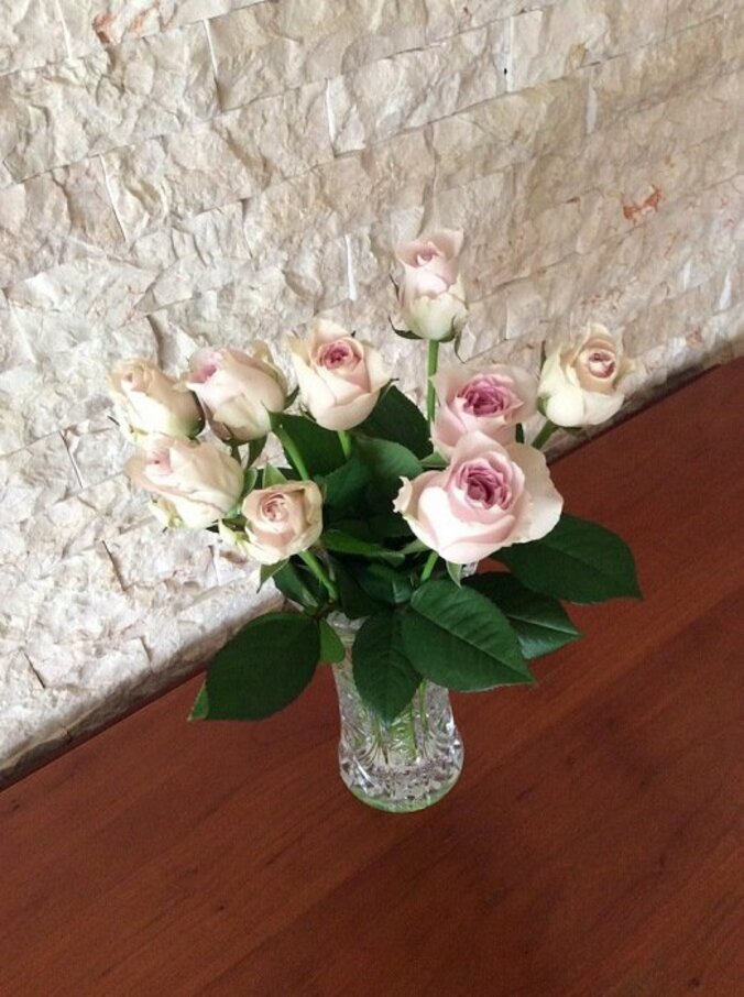 ピンク・レディー増田惠子、母親の命日を迎え思いをつづる「感謝を忘れてはダメ」 1枚目