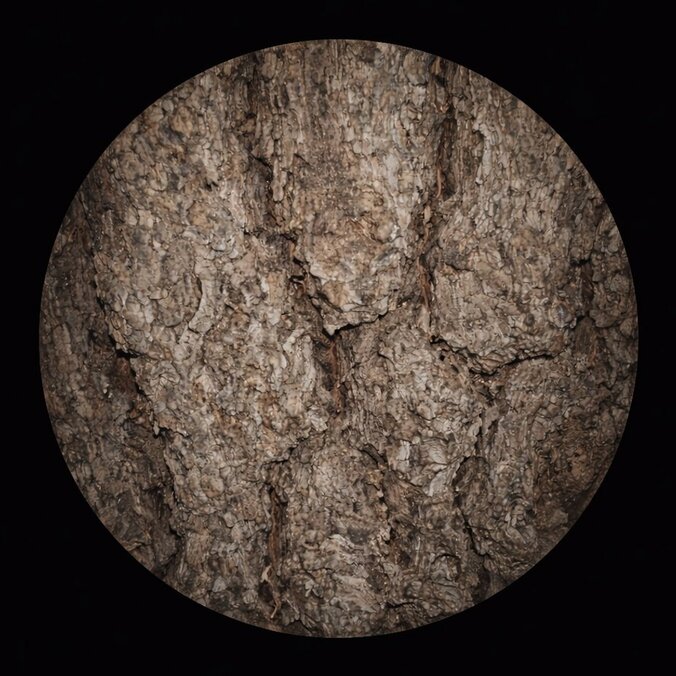 【写真・画像】　2枚目