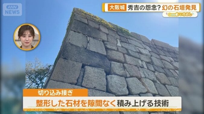 切り込み接ぎ