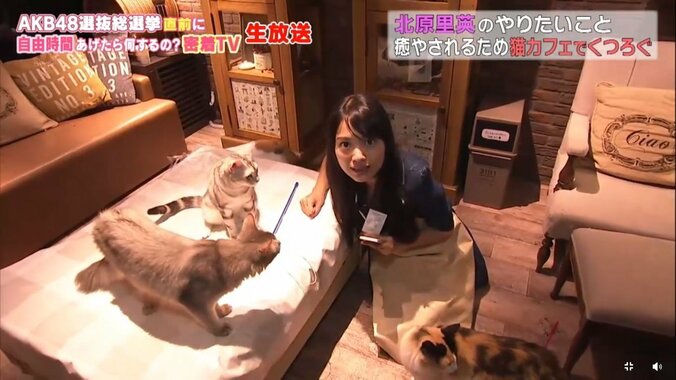 NGT48北原里英、総選挙速報の50位に「まだまだ諦めてないです！」 7枚目