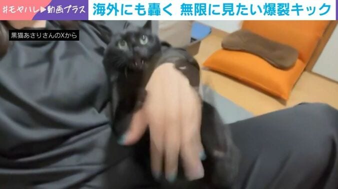 あさりちゃん