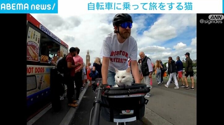 飼い主と自転車で旅をする猫が話題 ロンドンをサイクリングする様子に「ハトよりもリスに夢中」