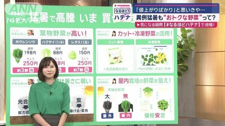 異例猛暑で価格高騰も…“おトクな野菜”って？　節約アドバイザーに聞く