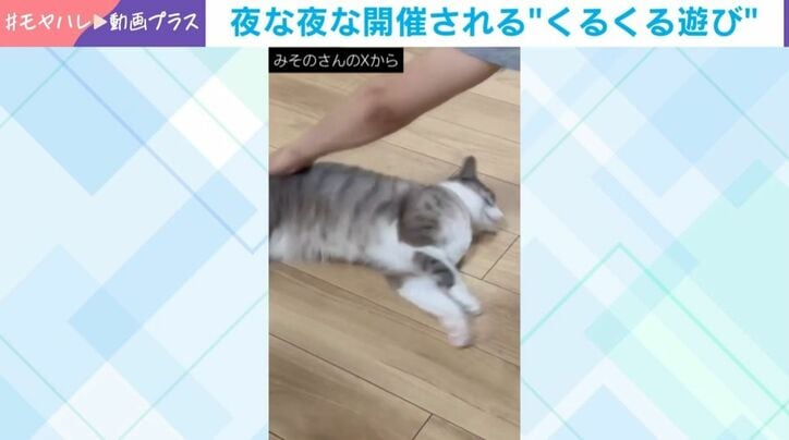 猫がハマる“くるくる”遊び