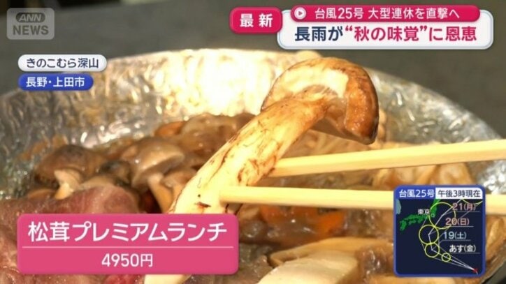 秋の味覚の王様「マツタケ」