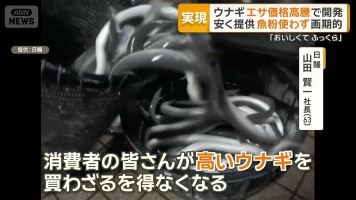餌代が値上がるとウナギの製造原価が跳ね上がる