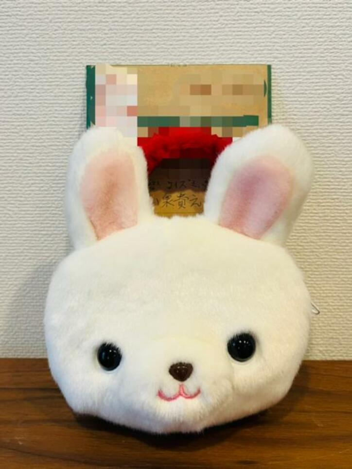  だいたひかる、息子の誕プレに両親から送られてきた大金「3.198円しか入っていない口座に…」 