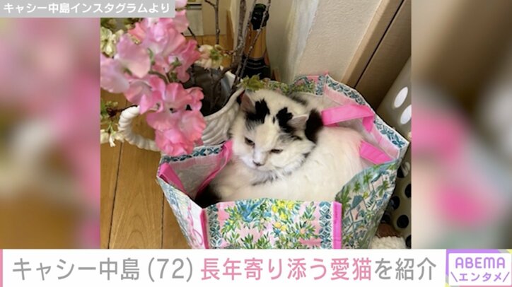 【写真・画像】キャシー中島(72) 長女・七奈美さんの死後 慰めるために北海道から来た長年寄り添う“家族”　2枚目