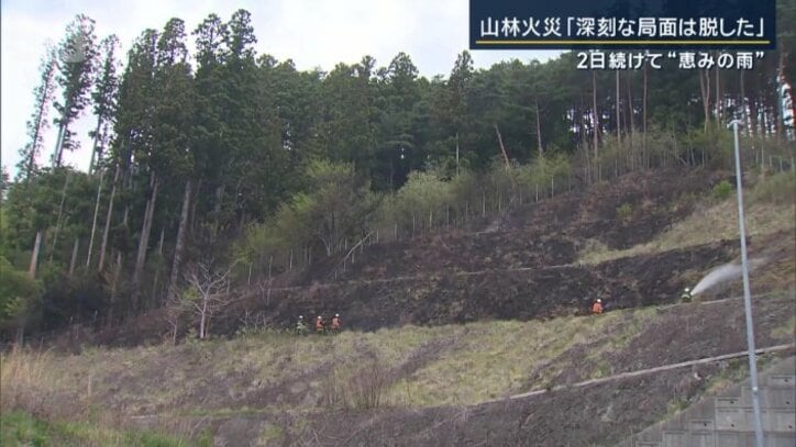 国道沿いの斜面