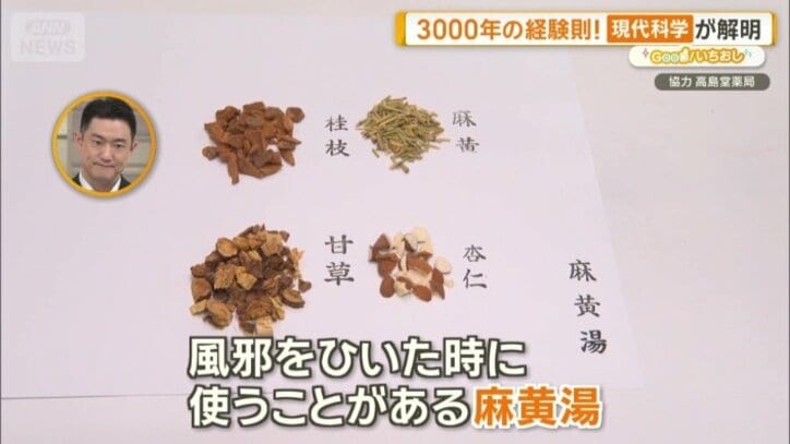 麻黄湯