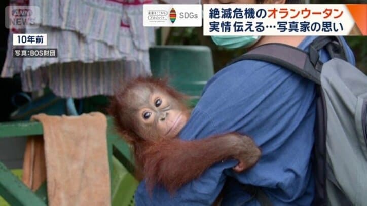 10年前に撮影されたオタンの写真