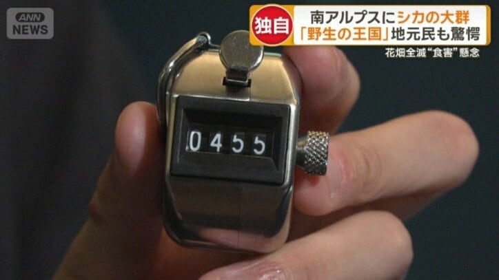番組スタッフが数えてみると…