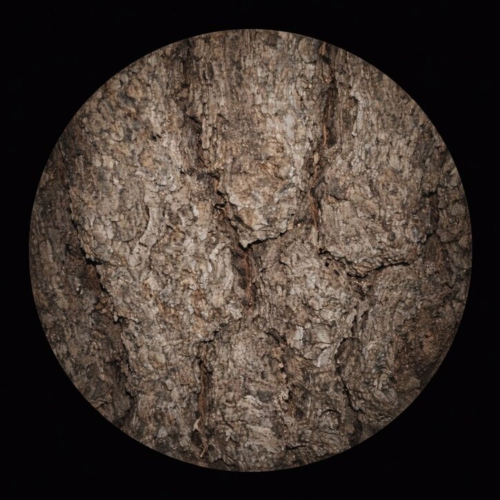 【写真・画像】　2枚目