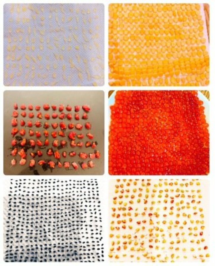 吉川友、集中できる趣味を発見「時間がある今だから出来る事を！」