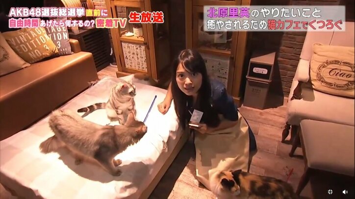 NGT48北原里英、総選挙速報の50位に「まだまだ諦めてないです！」