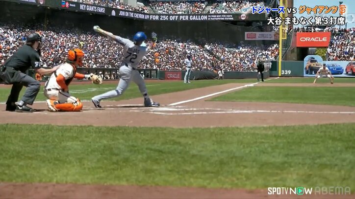 【写真・画像】　2枚目