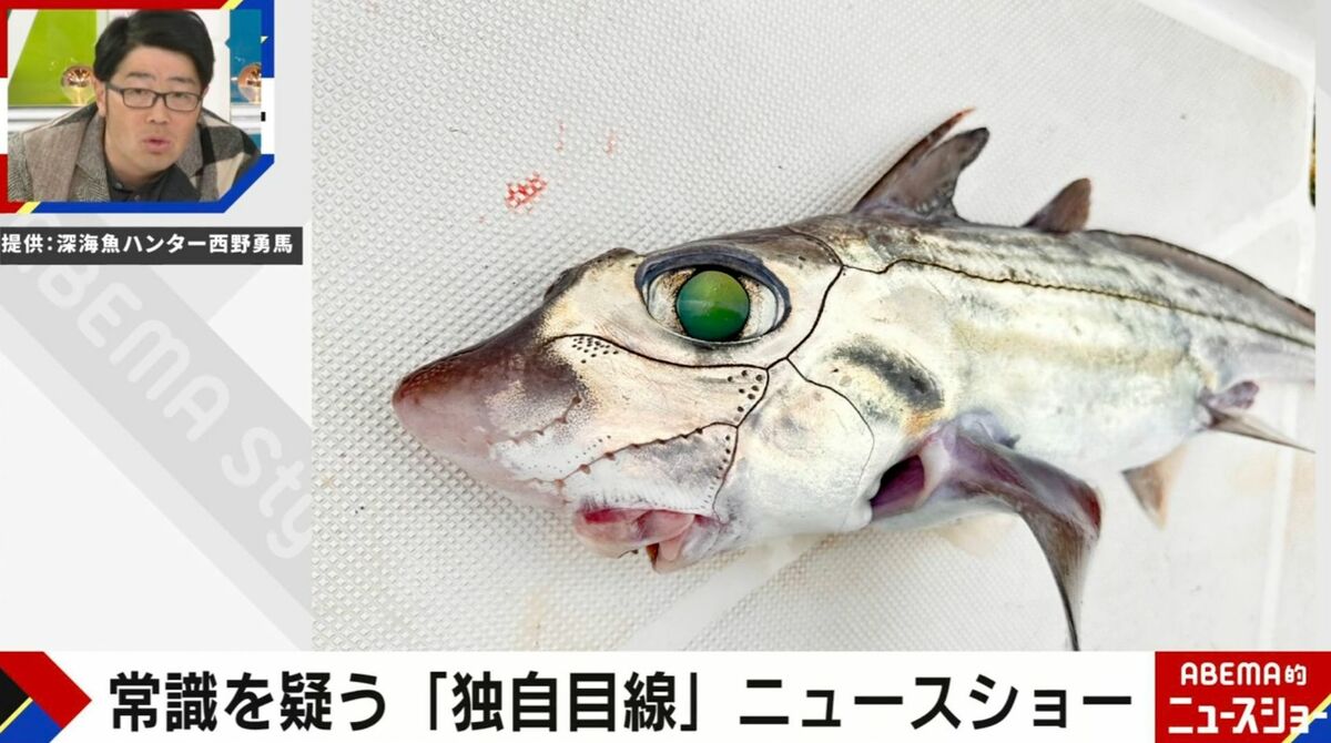 ツギハギの体」まるでブラックジャック？深海魚ハンターが釣り上げた