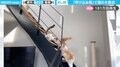 スーパーで馴染みのBGMが流れると… 猫たちが猛ダッシュで大集合 呼び寄せられる姿に「階段ずたずた降りてくるのかわいい」と反響