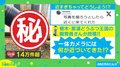 近すぎちゃって… “ゼロ距離” で写ろうするオウムの姿に「どんな顔して覗いてるんだろ」「写りたがり屋なのかなぁ~」と反響続々