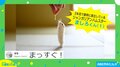 2本足で“背筋ピーン”の直立 ハムスターのあまりの可愛さに「語彙力なくなる」反響続々