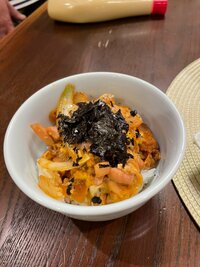 野田聖子『怒涛の…』