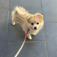 ココリコ遠藤嫁『まさかの、、、』