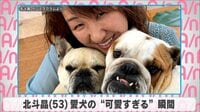 北斗晶 愛犬の“可愛すぎる”瞬間