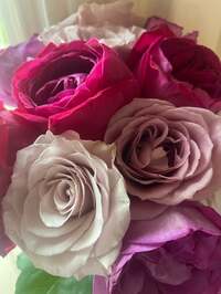 大和田美帆『2024/04/24』