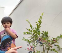 アレクサンダー『ブルーベリーの家庭菜園始めました❤️』