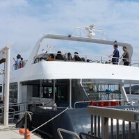 奥山佳恵『デビュー以来の無人島』