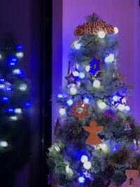 本田朋子『くりすます!』