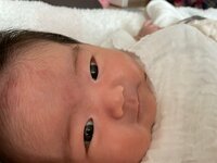 よめぽん（ANZEN漫才あらぽん嫁）『理想と現実。夢？！』