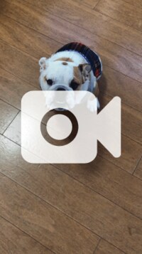 北斗晶『朝のイラッ』