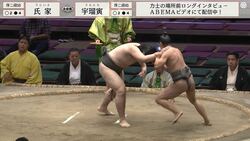 「え？」「何で倒れた？」61キロ“超軽量級”力士が突如足から崩れ落ち…ファン困惑の声「どうなったんだ」