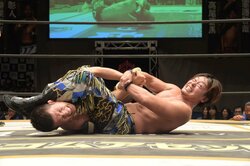 「お互いのプライドがルール」青木真也vsHARASHIMA、DDT両国でベルトをかけ再び！